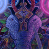 Avatar di Birkabojj