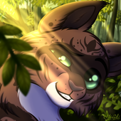 Avatar for KorayZ83