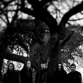 Apothys