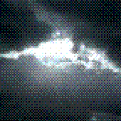 Avatar for GasLarm