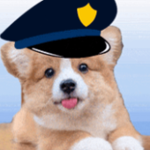 Avatar for saiobe