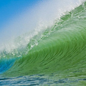 Avatar de GREENWAVER