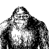 dvsvm için avatar