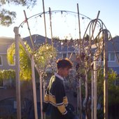 IMG_8960.jpeg