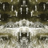 Tadpoles