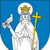 POL_Tuchola_COA.svg.png