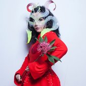 Avatar for Björk