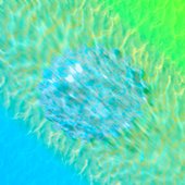 Aqueous