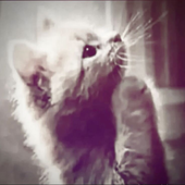 Avatar for rxaqt