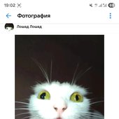 Screenshot_20250816_190257_VK.jpg