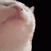 Avatar for rbennettr