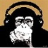 Avatar für Hirnu