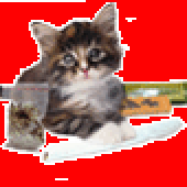 Avatar di anhelga