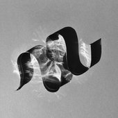 artist image