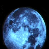 Avatar for Xciansemf