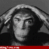 Avatar di num1monkeybutt