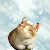 Avatar for Major_Sky