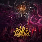 Ethereal Rot