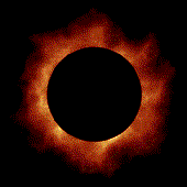 Avatar for maggot_in_flame
