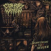 ...something in the water (album title)