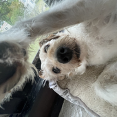 Avatar for David_guy1219
