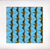 Simmerdim: Curlew Sounds