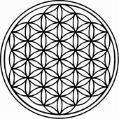 Avatar für vargarisme