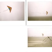  photographs by marcus cotten