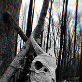 Avatar for Antijack09