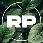 Avatar for Ricepuff08