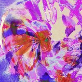 ECB2B18D-431E-4FB0-A855-4A0451AF7FA7.jpeg