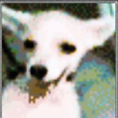 IMG_7472.jpeg