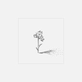 Utsuse (feat. HATSUNE MIKU) - Single