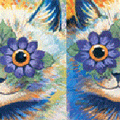 Avatar for jewkar