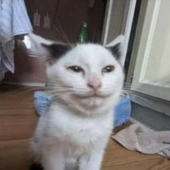 ZippZero için avatar