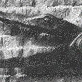 Awatar dla CrocodileShears