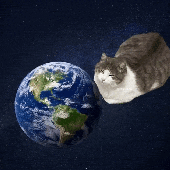 Avatar für klaysla
