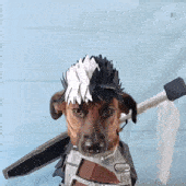 Avatar for peertje1
