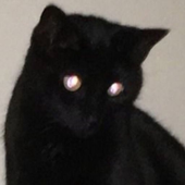 Avatar für Dynastine