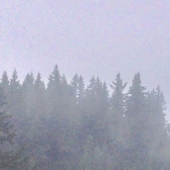 Awatar dla jagervinter
