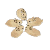 Avatar for Evirin