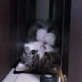 Avatar für tata_night