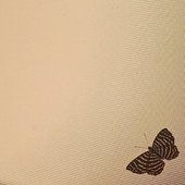 butterfly~tape