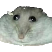 Avatar for Scrambled-Egg