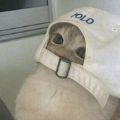 Avatar di bokhy