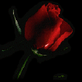 Avatar for Gothic_Gremlin