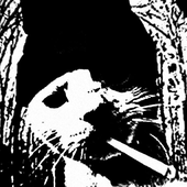 Avatar for Aberdeen5021