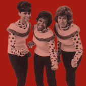 the-starlets.png
