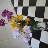 spikes