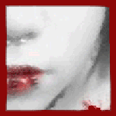 Avatar for nyssalikesbugs